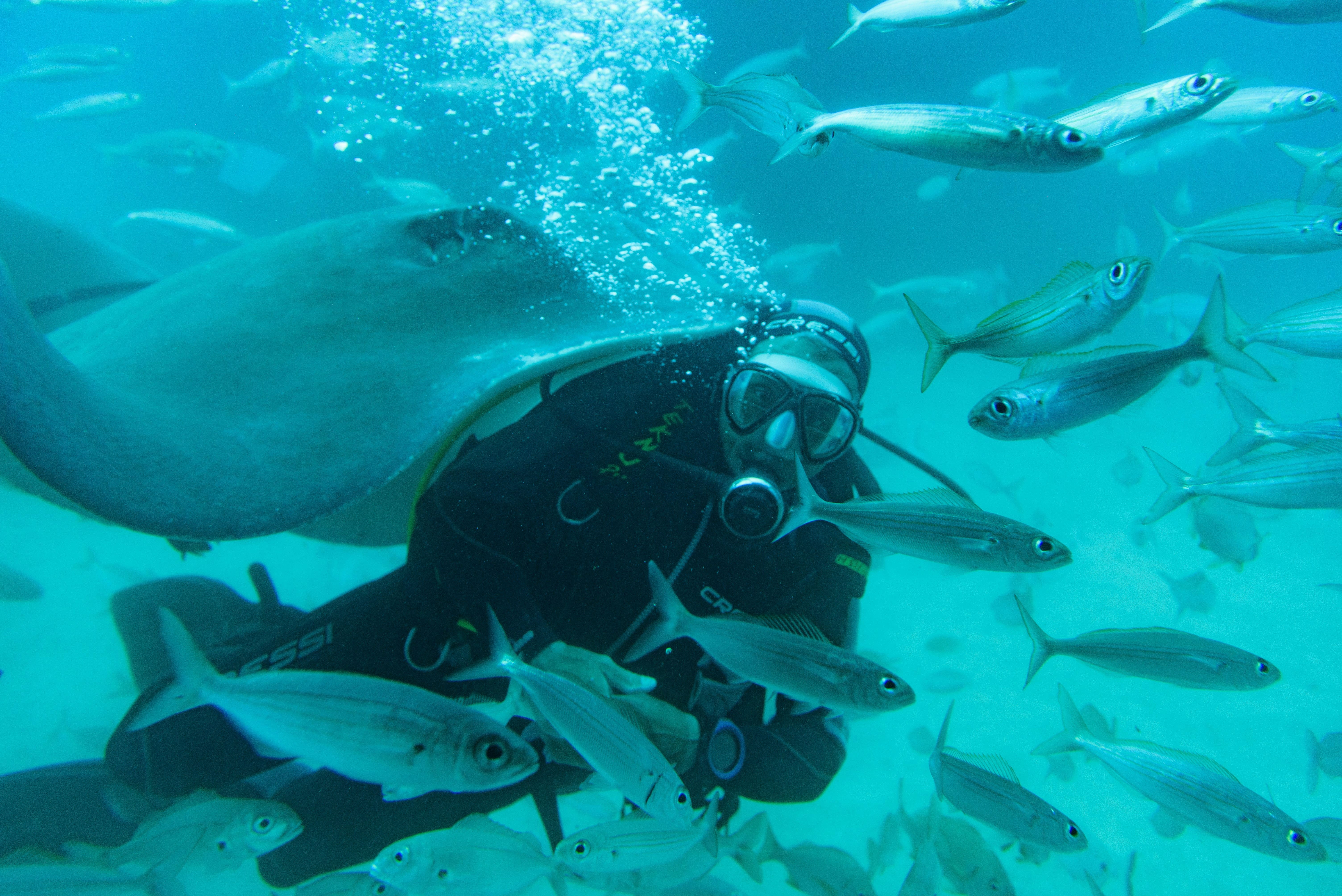 Diving Pulau Sepa