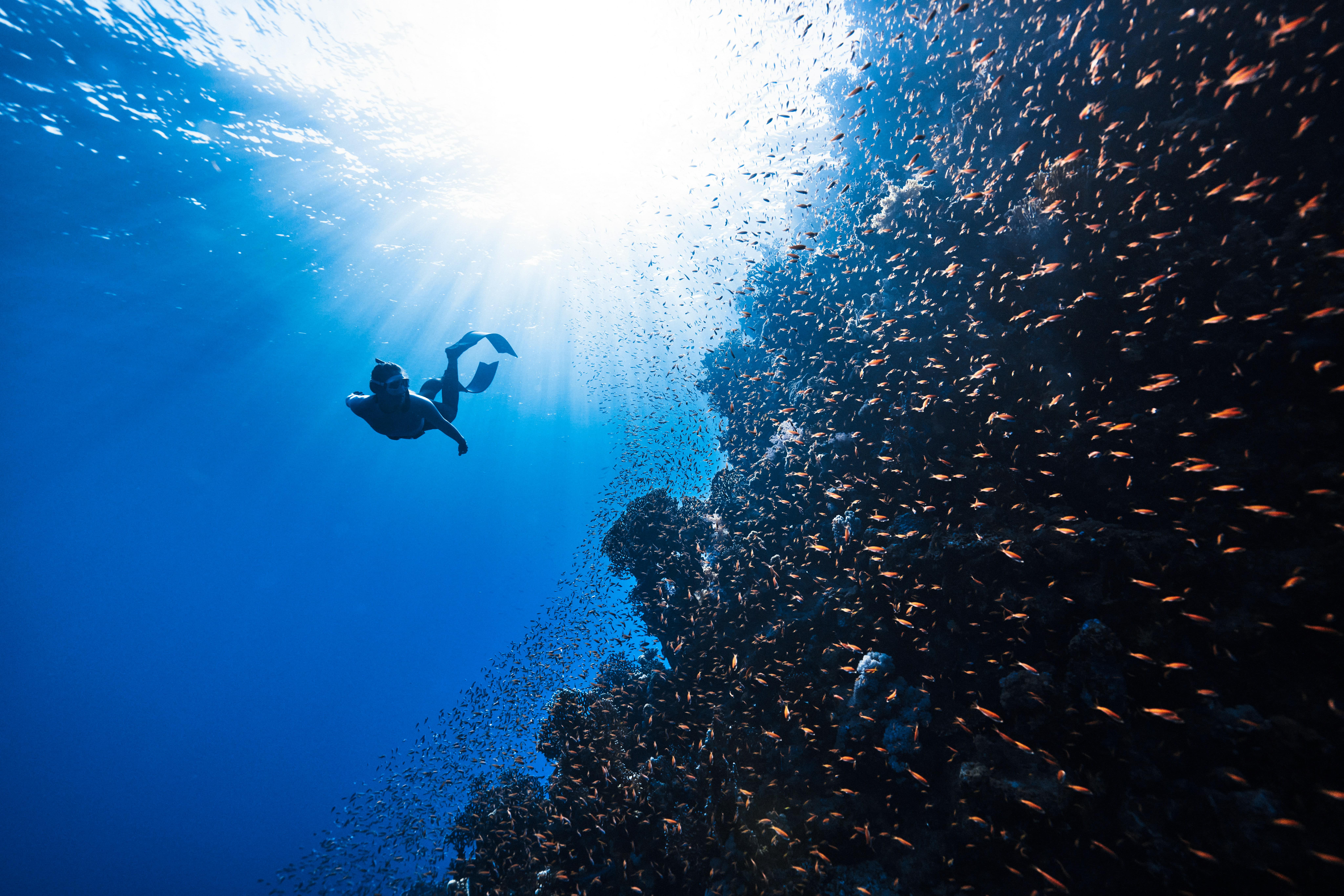 Open water diving course